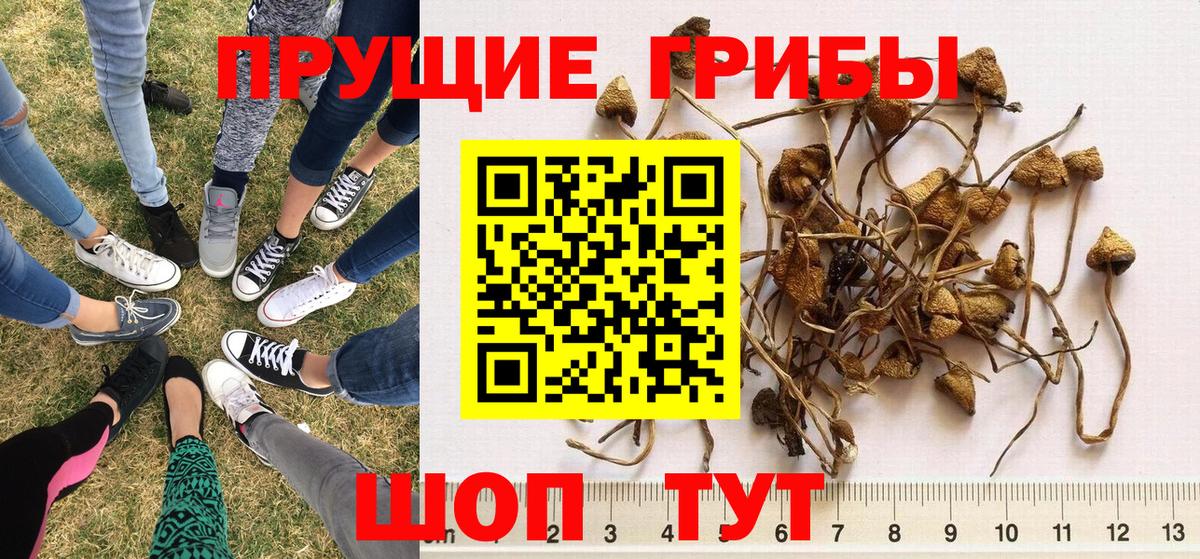 Галлюциногенные грибы прущие грибы  Псилоцибиновые грибы ЛСД  Вход с VPN  Норильск 